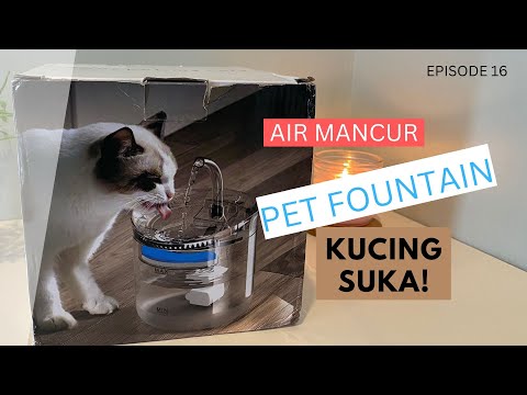 Video: Air Mancur Cat Terbaik: Apa yang Harus Diperhatikan di Air Mancur Cat