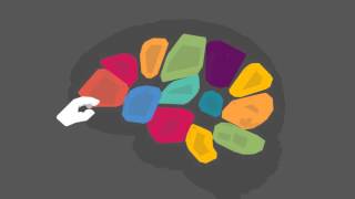 Competencias Transversales UPV: Proyecto Institucional de las CT