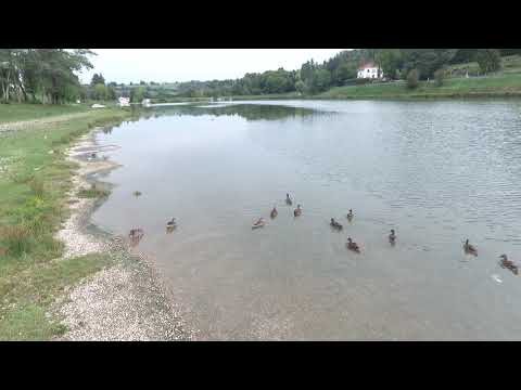 Video-thumbnail van Onlycamp Camping du Lac
