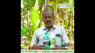 Our Banana Farmer Mr. Kannan from Trichy shares His Results!