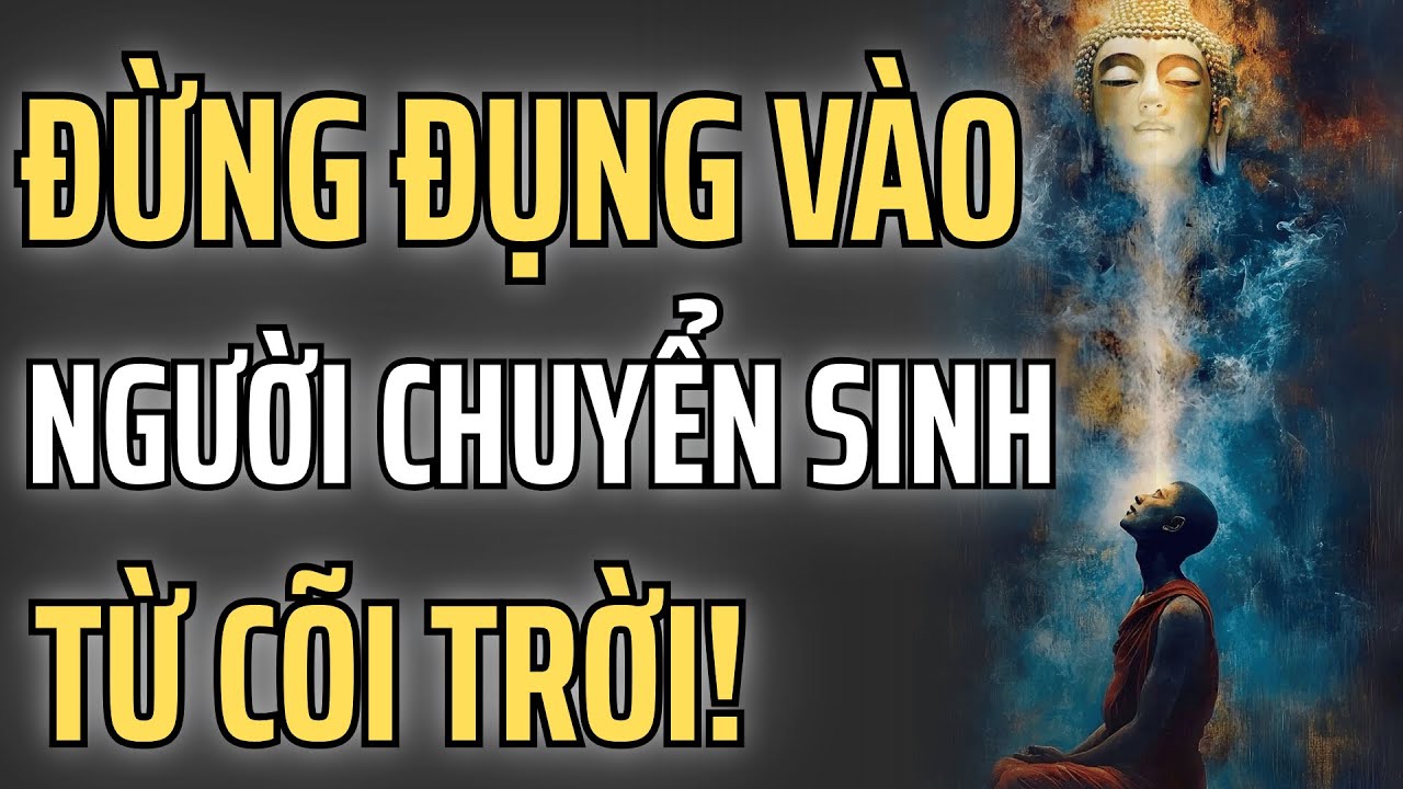 Đừng đụng vào người tái sinh từ cõi trời — họ không thuộc về thế gian này