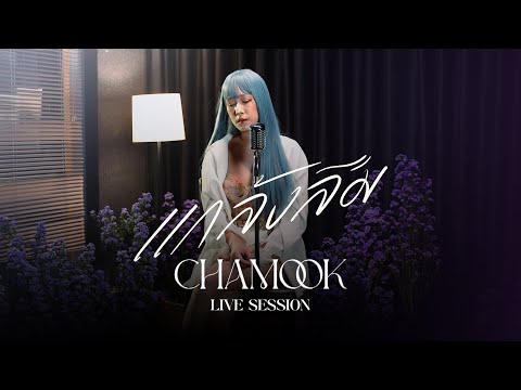 Chamook ชามุก สุชานันท์ - แกล้งลืม【Acoustic Session】