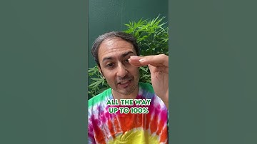 Does CO2 Help In A Grow Room? #plants