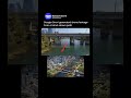 Google Omni AI Just Created Drone Videos From Simple Sketches 🤯