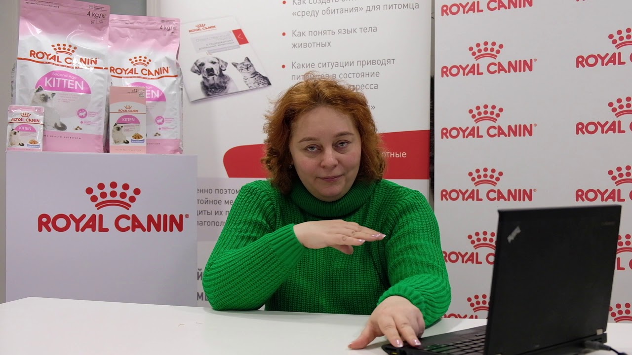 Иммунная система кошки