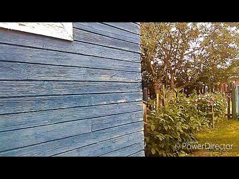Алинины страшилки {Зомби}