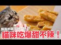 【好味小姐】做出了貓咪超愛的甜不辣！香噴噴我也好想吃～｜貓副食食譜｜好味貓鮮食廚房EP179