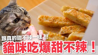 【好味小姐】做出了貓咪超愛的甜不辣香噴噴我也好想吃貓副食食譜好味貓鮮食廚房EP179