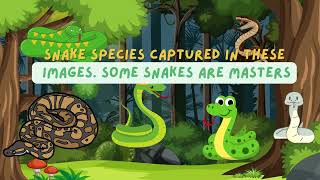 Hello, Young Explorers   Meet The 5 - The Lion, Monkey, Parrot, Snake, and Elephant. 2024    😊😊