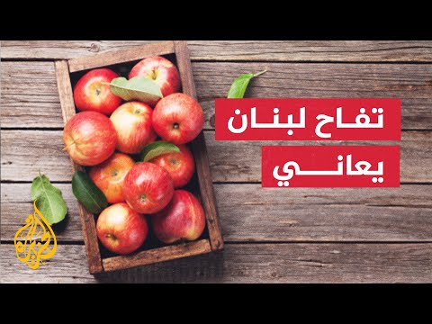 الزراعة ضحية جديدة من ضحايا الأزمة الاقتصادية في لبنان