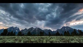 Joe Rogan - Life Is Magic