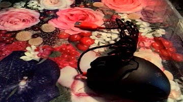 Unboxing 1 | Мышка A4Tech Bloody V4