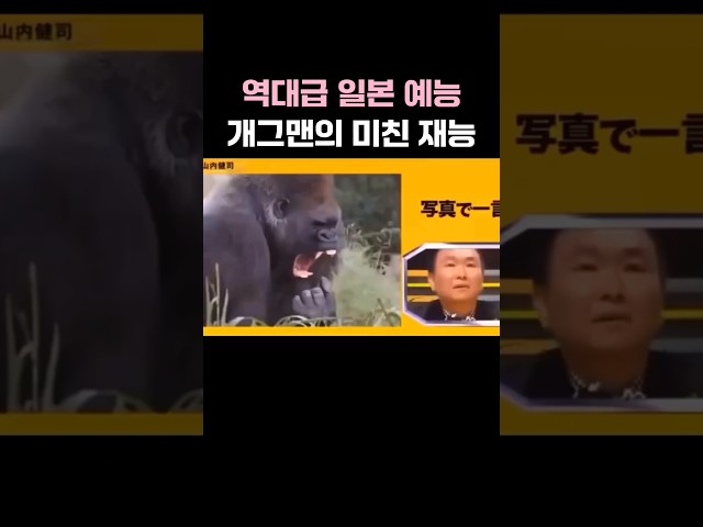 역대급 웃긴 일본 예능