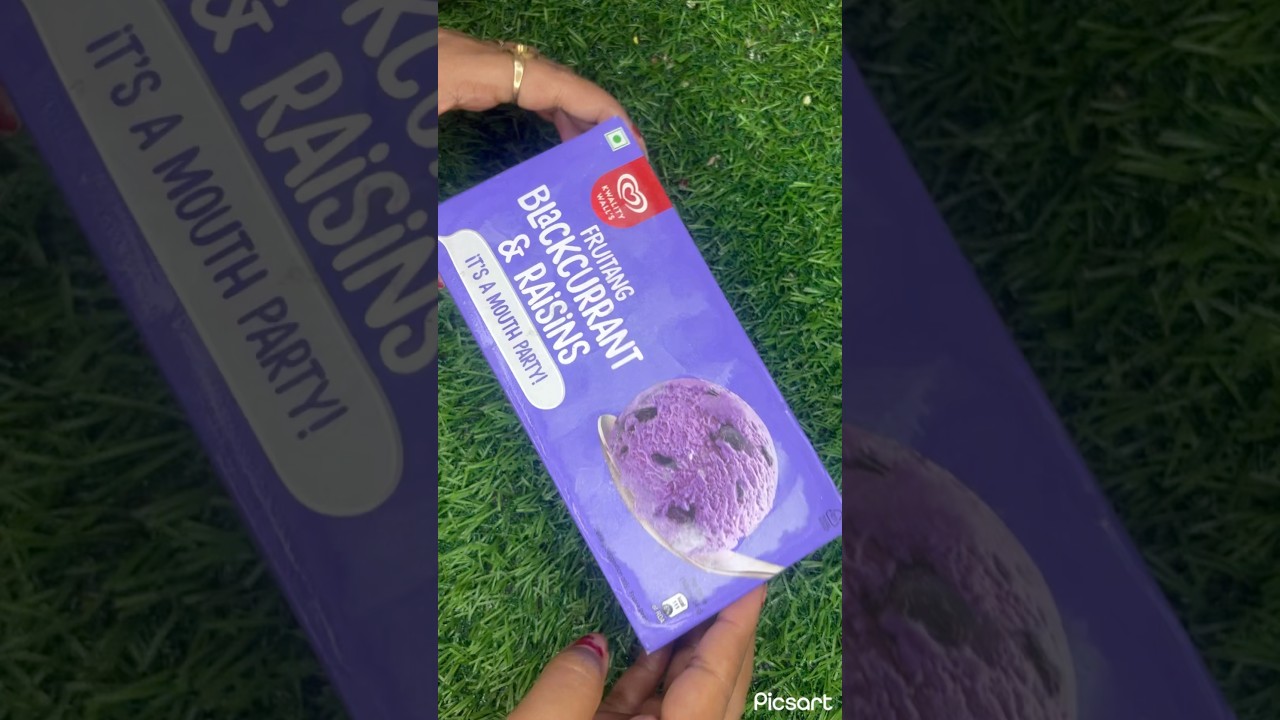 Kwality walls Blackcurrant & raisins ice cream 