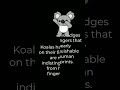 interesting animal facts for animal lovers#animalfacts # short