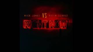 Nick Jonas & Robin Schulz - Right Now (Argos Remix)