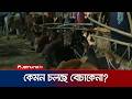 মাঝরাতে রাজধানীর পশুর হাটগুলোতে ক্রেতা উপস্থিতি ও দাম কেমন? | Cow Hat | Dhaka | Jamuna TV