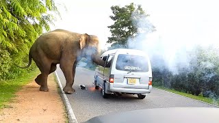 #elephantattack | The fierce elephant attack on the van | वैन पर भयंकर हाथी का हमला