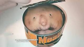 Normal Food For Normal People