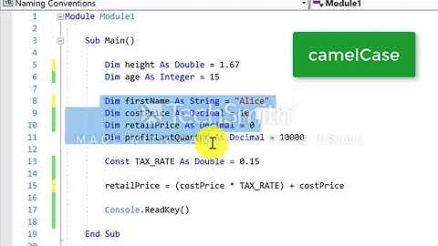 Naming Conventions in Visual Basic