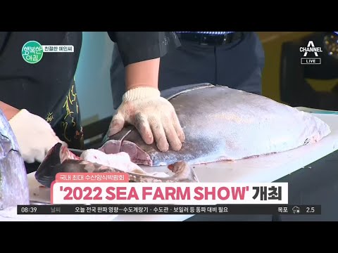 [친절한 예인씨] 다양한 볼거리 가득한 &amp;#39;2022 <strong>SEA</strong> FARM <strong>SHOW</strong>&amp;#39; 개최! | 행복한 아침 980 회