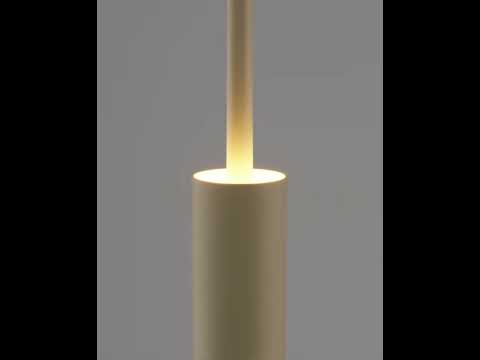 Светильник подвесной светодиодный V11396-PL Rin, видео 1