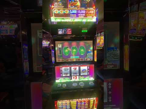 Γίνετε μιлиονάριος στο καζίνο online: Διαδικτυακές εμπειρίες Millioner Casino