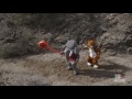 Exclusive video footage of Alabama's and Clemson's mascots fighting