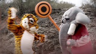 Exclusive video footage of Alabama's and Clemson's mascots fighting
