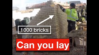 1000 Bricks Building Corners