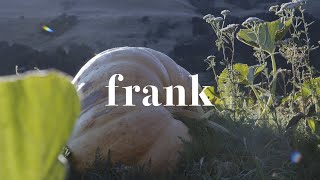New Zealands BIGGEST Pumpkins? - The Great Pumpkin Festival