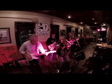 Hypnotic Willie plays “Gravity's Gone" (Drive-by Truckers) Live @ Dogfish Head Alehouse 2016-02-27