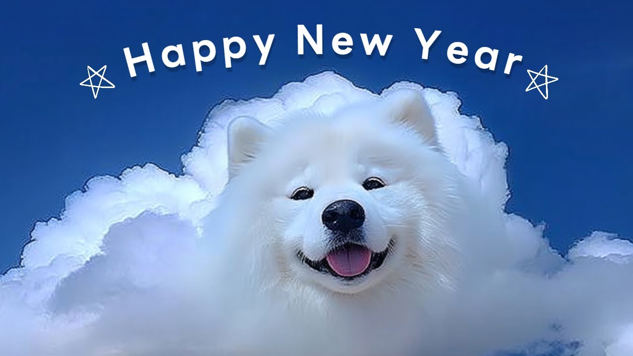 playlist💙 Всё сбудется ⭐️ Новогодний Morning Pop 🎵 Музыка для работы и кафе | Hay G