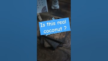 "Miniature Coconuts Made from Clay – So Realistic You’ll Look Twice!" #shorts #shortvideo #viral