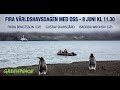 Världshavsdagen 2020 - Greenpeace digitala event