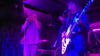 The Reds, Pinks &amp; Purples - &quot;Use This Song&quot; - live at Bottom of the Hill SF, 17 Apr 2023