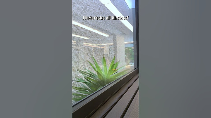 Safe and beautiful large Windows