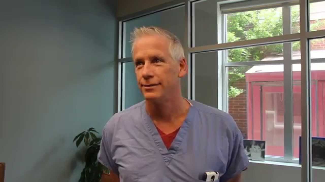 Top Real Estate Agent Charlotte NC - Karen Kitzmiller