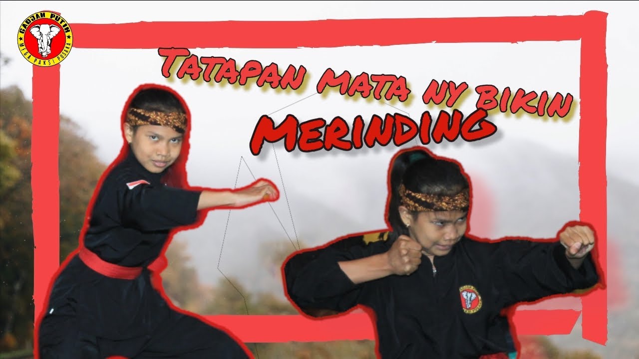 sang juara 🏆 puput puspita sari, || hpsi GADJAH PUTIH MEGA PAKSI PUSAKA