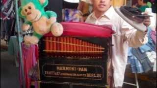 Mr. Organ Grinder Man with a Harmoni Pan Frati and Company Berlin Organ