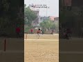 What a six 🔥😍🏏 #cricket #cricketshorts #viralvideo #viratkohli #ipl2025