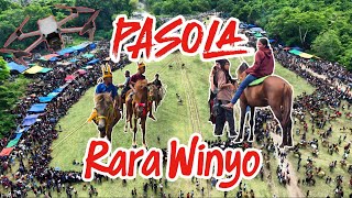 Pasola Rara Winyo || Battle of the Sumbanese Knights, Tradition, Duel, Traditional Sports #sumba ...