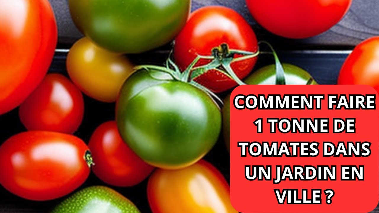 1 tonne de tomates dans un jardin en ville ?