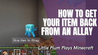 How to take back an item from an Allay