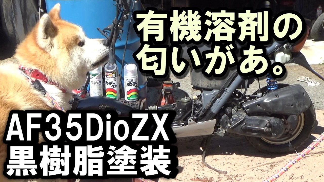 Dio(アーミー塗装) 投稿詳細｜MOTOCLE