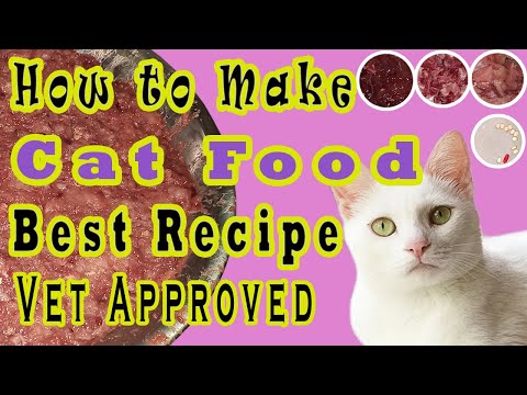 How to make Cat Food at home - Taurine supplement & Vitamins Added | Vet Approved Homemade Cat Food