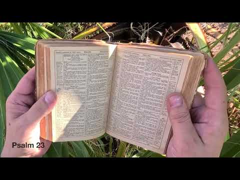 Reading Psalm 23 in the Palms, My father’s 1886 historic Bible.