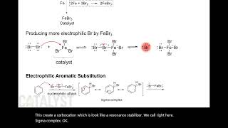 CHM2211 Chapter 18.2 - Halogenation Mechanism