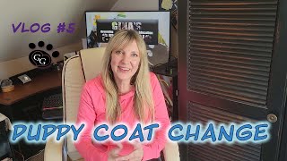 Puppy Coat Change  Dog Grooming VLOG  Episode 5  Gina's Grooming