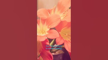 Discover How Quantum Computing is Rewriting the Rules of Technology and Changing Our Future!